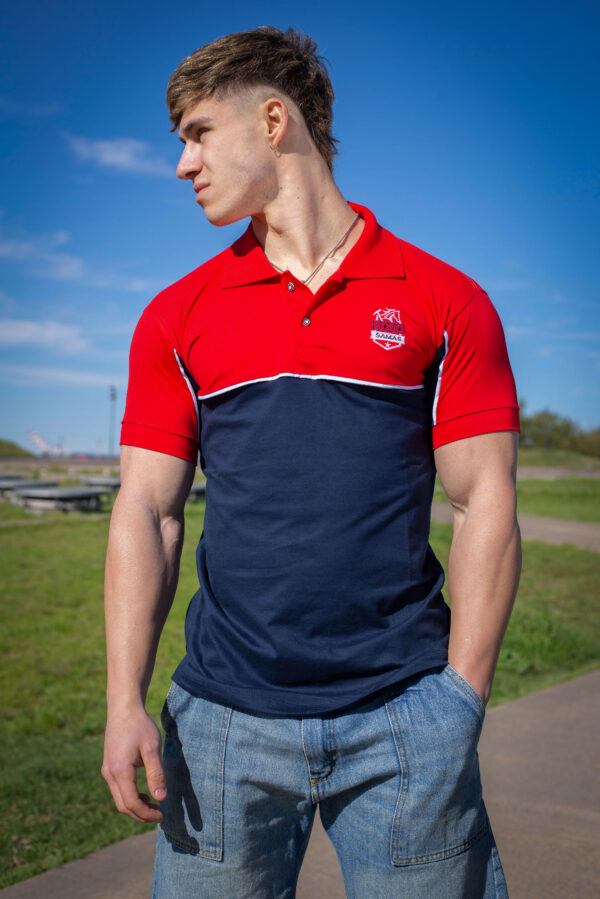 CHOMBA POLO COMBINADO CURVA